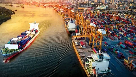 Năm 2026 tiếp tục khai thác các thị trường mới để xuất khẩu bền vững