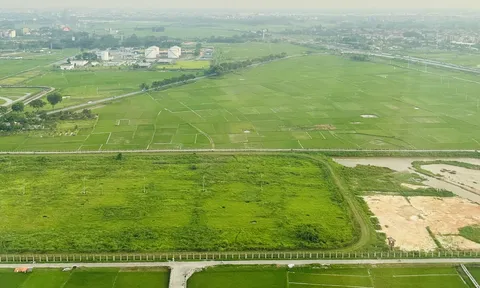 Quy định mới về miễn, giảm tiền thuê đất đối với một số trường hợp