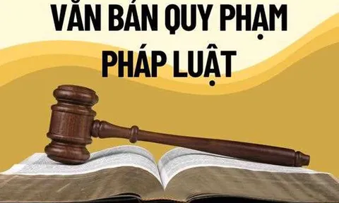 Chính phủ thống nhất nội dung Đề án về tổng rà soát hệ thống văn bản quy phạm pháp luật