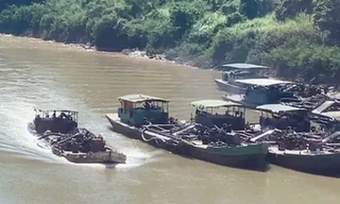 VIDEO ĐIỀU TRA - KỲ 1: Đoàn tàu không số hiệu trên sông Đồng Nai, hồ Dầu Tiếng