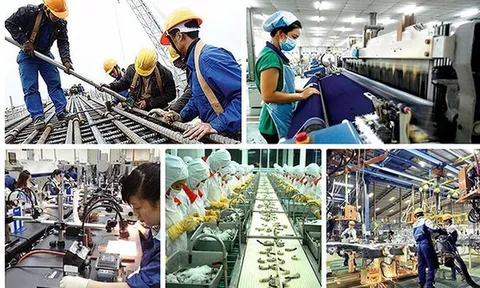 Infographics: Cả nước có hơn 1.000.000 doanh nghiệp hoạt động trong nền kinh tế