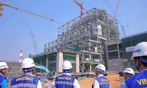 Ai đang thật sự nắm quyền tại Vinaconex?