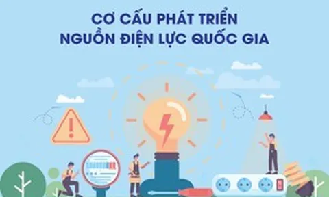 INFOGRAPHICS Quy hoạch điện VIII: Nhìn từ cơ cấu nguồn điện