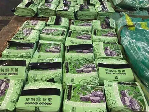 Triệt phá đường dây vận chuyển 270kg ma túy đá tuồn vào Philippines