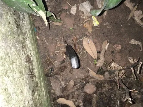 Điều tra vụ anh trai say xỉn ra tay đâm tử vong em ruột ở Nam Định