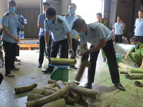 Phát hiện 9,1 tấn hàng hóa nghi ngà voi được ngụy trang tinh vi