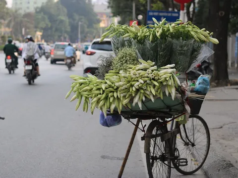 Hà Nội rực rỡ tháng Tư về