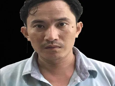 Bắt giữ kẻ chủ mưu bắt cóc, tra tấn khiến thai phụ 18 tuổi sẩy thai