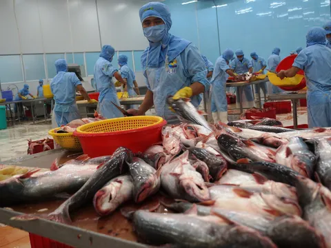 Cơ hội cho doanh nghiệp Việt 'tấn công' thị trường Canada