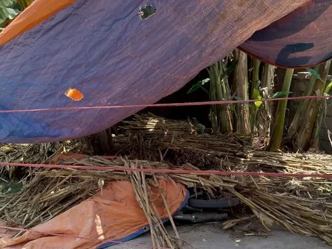 Nghi án em họ sát hại anh, kéo thi thể ra cổng rồi phủ bạt giấu