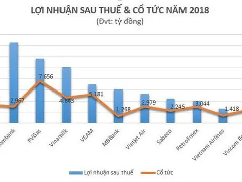 Top các 'ông lớn' chi trả nghìn tỷ đồng cổ tức năm 2018