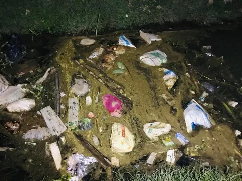 Hà Tĩnh, lợn chết trôi trắng kênh, bốc mùi hôi thối