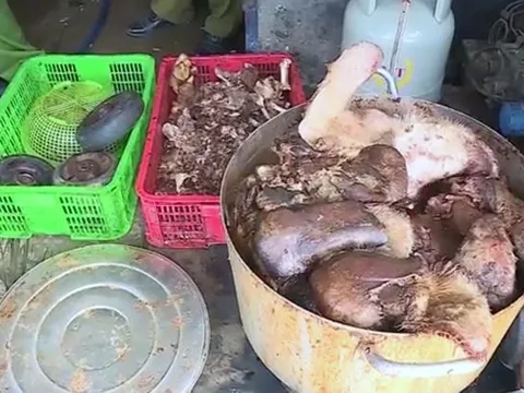 Phát hiện gần 1,5 tấn thịt lợn bốc mùi hôi thối ở Hậu Giang