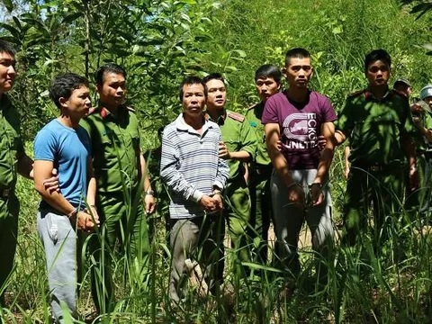 Bất ngờ khi khám xét nhà nghi phạm cầm đầu vụ hạ độc hơn 10 ha rừng thông ở Lâm Đồng