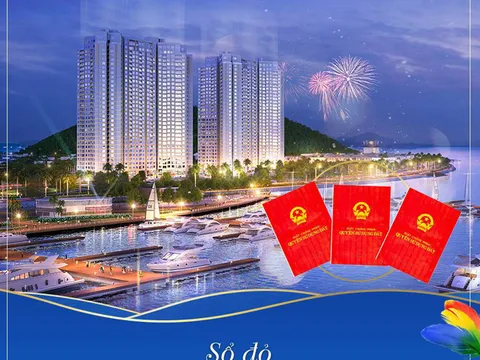 'Phát pháo' đầu tiên thu hồi sổ đỏ thời hạn lâu dài dự án condotel tại Đà Nẵng