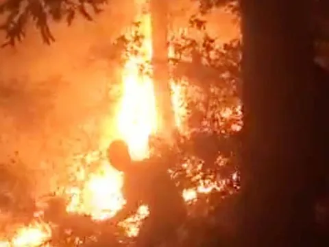 Cháy rừng trên diện rộng, hàng trăm người sơ tán tài sản dập lửa trong đêm