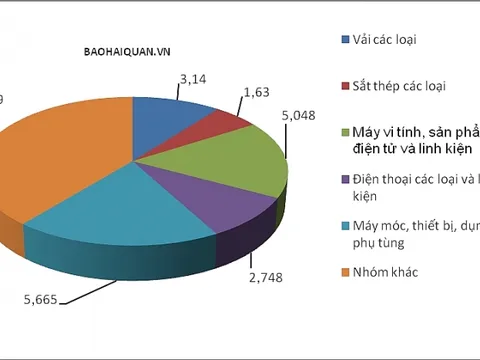 Việt Nam nhập khẩu gần 30 tỷ USD hàng hóa Trung Quốc