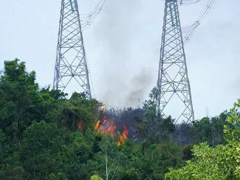 Cháy rừng liên tiếp diện rộng ở miền Trung đe dọa hệ thống điện 500KV Bắc Trung Nam