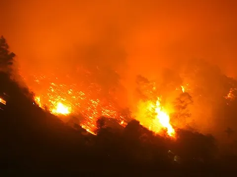 Tìm ra thủ phạm gây cháy rừng kinh hoàng ở Hà Tĩnh