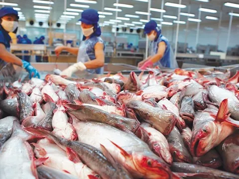 Dự báo xuất khẩu thủy sản sẽ tiếp tục giảm nửa cuối năm 2019