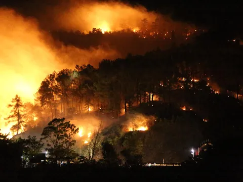 Người dân Hà Tĩnh hốt hoảng sơ tán trong đêm vì cháy rừng trên diện rộng