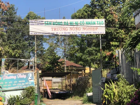 TP.HCM: Cần làm rõ trách nhiệm liên quan sai phạm tại Trường Trung cấp KTNN