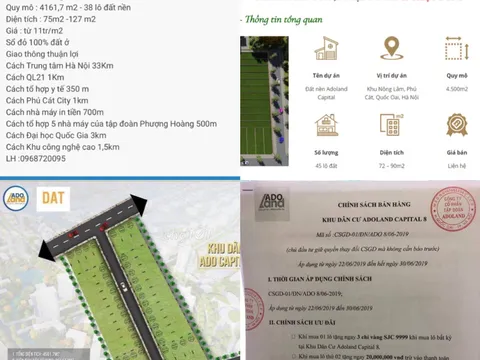 Quốc Oai: Công ty Adoland tự 'vẽ' đất trồng cây như một dự án để rao bán?