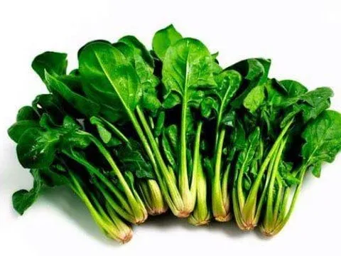 Bạn có biết những thực phẩm đẩy lùi lão hóa mà không cần theo thực đơn kham khổ?