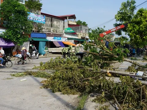 'Cuồng phong' hất tung 230 ngôi nhà, gãy cột điện và cây cối ở Thanh Hóa