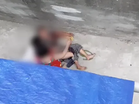 Cụ bà 76 tuổi ở Hà Nội bị chó nhà cháu ngoại lao vào cắn xé