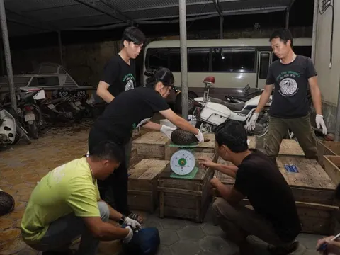 Phát hiện hơn 140 kg tê tê giấu trong khoang bí mật ở xe khách ở Hà Tĩnh