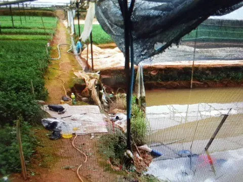 Phát hiện thi thể đôi tình nhân trong tư thế ôm nhau dưới hồ tưới