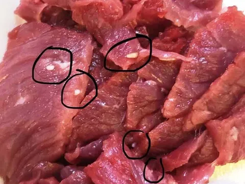 VinMart Thanh Hóa bị khách tố thịt bò có lẫn trứng sán: Kết quả xét nghiệm