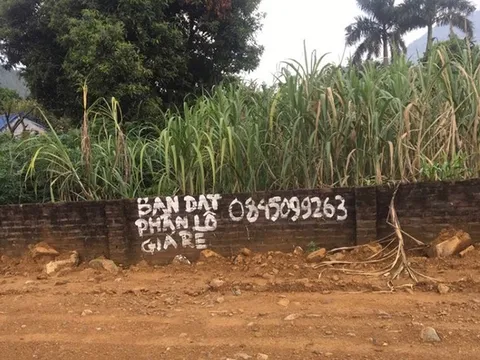 Dự án KDC Diamond Star của Công ty BĐS Allstar có phải dự án 'ma'?