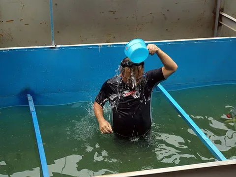 Chuyên gia Nhật Bản tắm mình dưới nước sông Tô Lịch