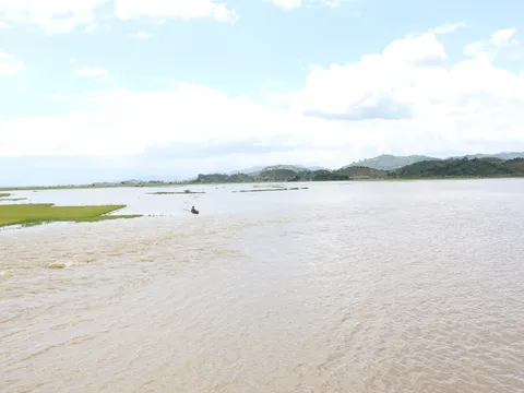 Đắk Lắk: Vỡ đê bao khiến hơn 1.000ha lúa sắp thu hoạch chìm trong biển nước