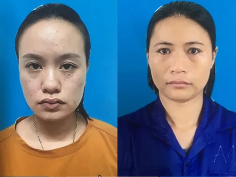 Bắt giữ hai đối tượng trong đường dây tổ chức mang thai hộ