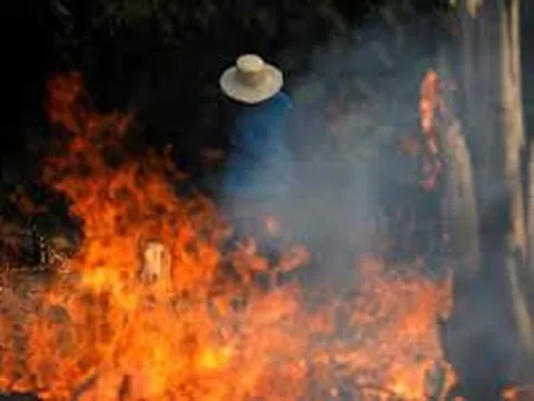 Cháy rừng Amazon - G7 họp khẩn, dọa bỏ hiệp định thương mại với Brazil