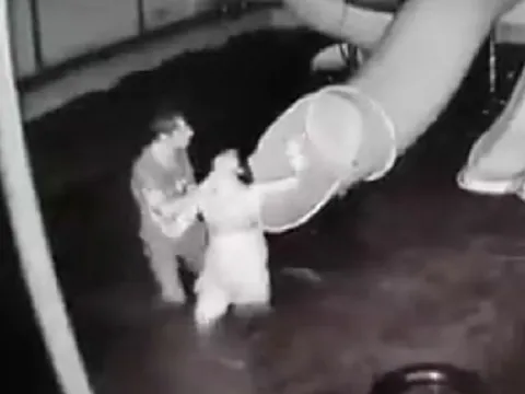 Lãnh đạo Tây Ninh yêu cầu xử lý nghiêm vụ chồng đánh đập vợ từ dưới nước lên tận bờ