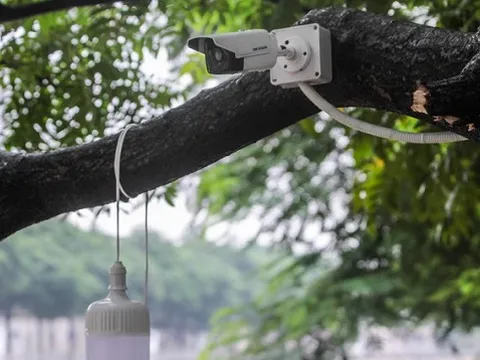 Công ty JVE lắp đặt thêm camera theo dõi sau vụ cá Koi chết trên sông Tô Lịch