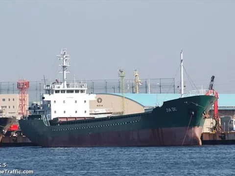 Tìm thấy một thủy thủ người Việt Nam trong vụ chìm tàu vì siêu bão ở Nhật Bản