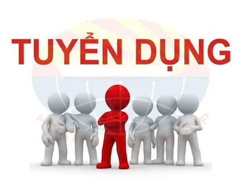 Chuyên trang Pháp luật Net tuyển dụng phóng viên