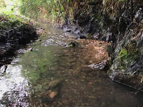 Vụ nước sạch Sông Đà nhiễm bẩn: Sinh mạng của người dân, trách nhiệm của ai?