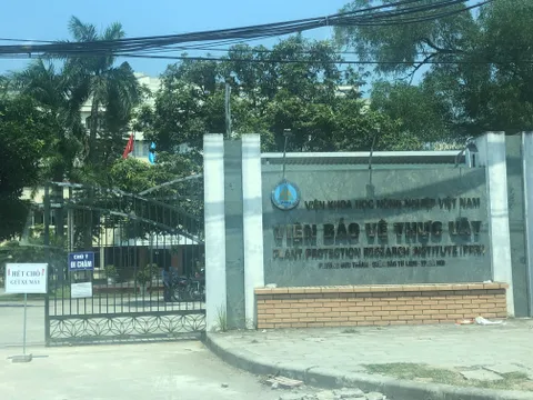Hà Nội: Viện Bảo vệ Thực vật thừa nhận sử dụng đất công sai mục đích