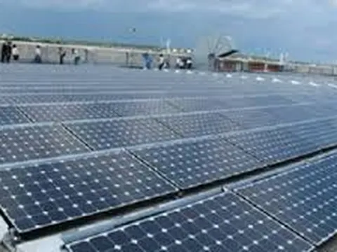 Nhu cầu tăng cao, năng lượng tái tạo sẽ tăng 50% trong 5 năm tới