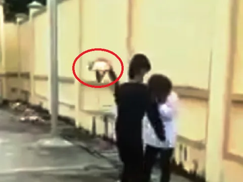 Hé lộ lý do khiến nữ sinh Thanh Hóa bị bạn dùng mũ bảo hiểm đánh vào đầu