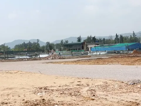 Thanh Hóa: Xây dựng không phép, Resort ven biển tại xã Hải An bị xử phạt