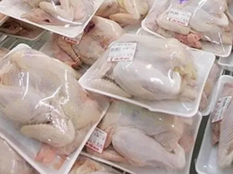 Giá thịt gà 'tăng mạnh' theo giá heo