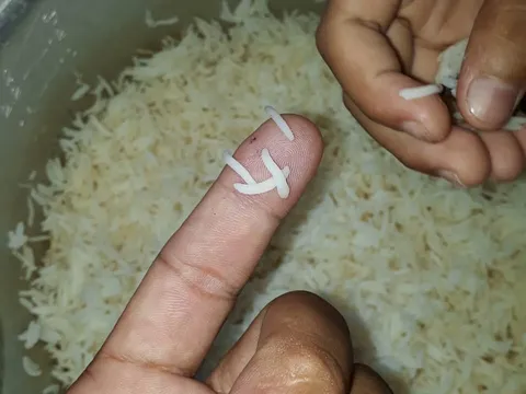 Cà Mau: Thông tin chính thức vụ nghi ngờ gạo giả trên mạng xã hội