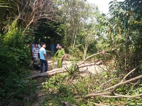 Cảnh sát nổ súng giải tán trường gà ở Phú Yên, 3 người bị thương